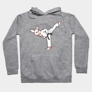 Cartoon Hase doing Hapkido Hoodie